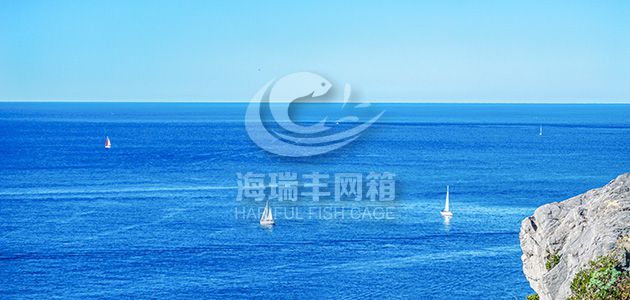 “中国洋浦港”船籍！中国船舶上海船院再添“第一艘”！